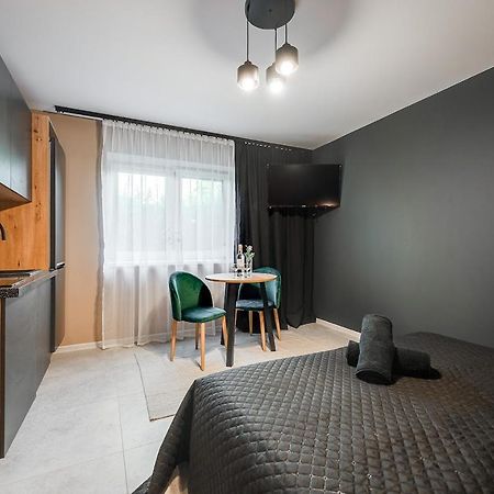 Loft House Apartment Studio Z Ogrodkiem 1 Rybnik  Exterior photo