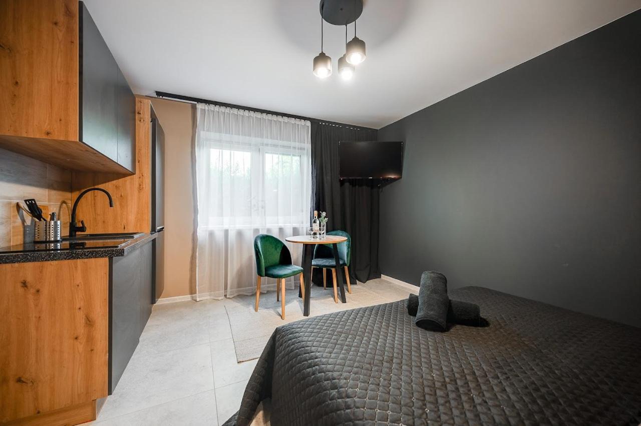 Loft House Apartment Studio Z Ogrodkiem 1 Rybnik  Exterior photo